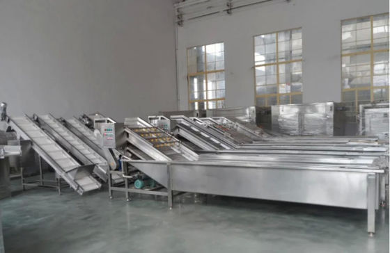 3000W Fruit Vegetable Washing Machine Fully Automatic Multi Functional