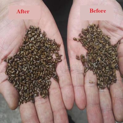 Agricultural Bean Cleaning Machine Corn Grain Polishing Machine