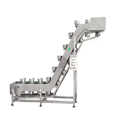 Bowl Type Conveyor Assembly Line Food Processing Inclined Bucket Elevator