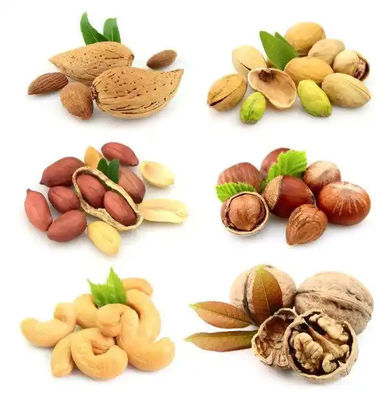 Multi Functional Food Processing Equipment Peanut Roasting Machine OEM