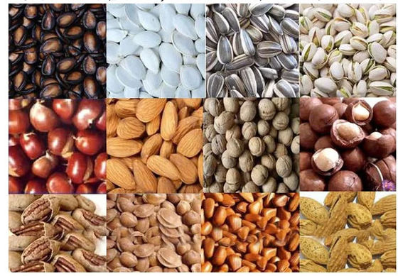 Multi Functional Food Processing Equipment Peanut Roasting Machine OEM