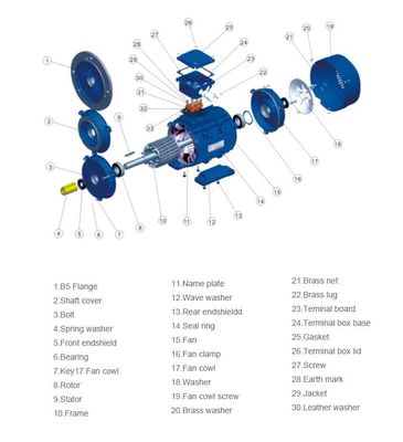 Single Phase AC Induction Motor