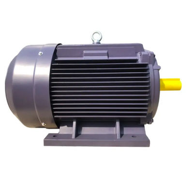 50HZ Asynchronous Electric Motor