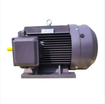 50HZ Asynchronous Electric Motor