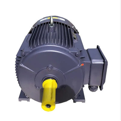 50HZ Asynchronous Electric Motor