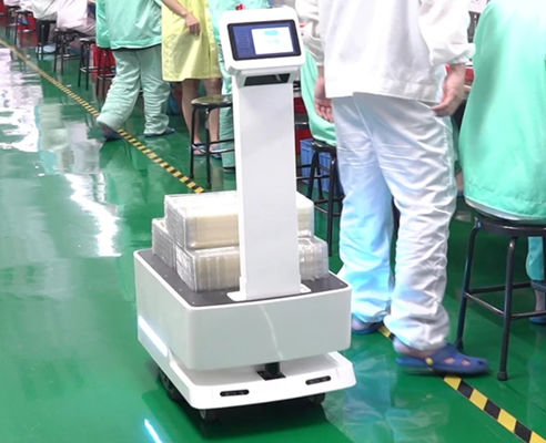 Industrial Logistics Machines Transport Handling Robot CE Certificate