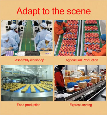 Aluminium / Steel Frame Straight Belt Machines Modular Belt Conveyor For Production Line