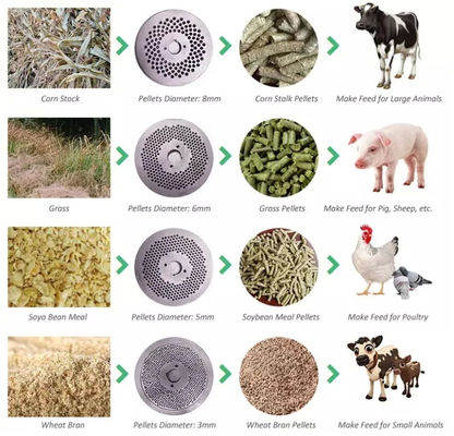 Home Use Poultry Feed Manufacturing Pellet Animal Feed Processing Machines Corn Straw Pelletizer Poultry feed machine