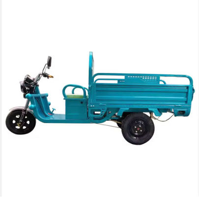 Electric Tricycle Freight Truck Large Wheel Tricycle Adult