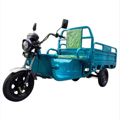 Electric Tricycle Freight Truck Large Wheel Tricycle Adult