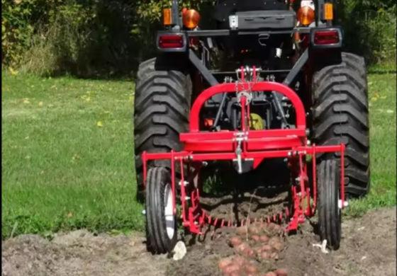 Tractor 3 Point Mounted Potato Harvester Machine 1 Row Mini Potato Digger
