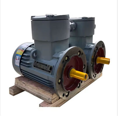 Industry Application Asynchronous Three Phase Flame Proof Electric Motor