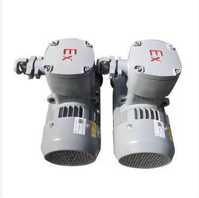 Industry Application Asynchronous Three Phase Flame Proof Electric Motor