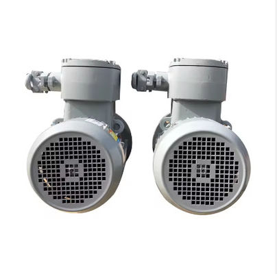 Industry Application Asynchronous Three Phase Flame Proof Electric Motor