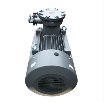 Factory AC Three Phase Induction Asynchronous Electric Motorcycle