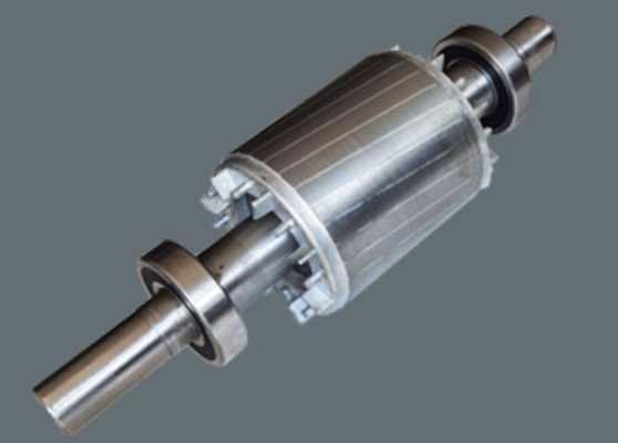 Explosion Proof High-Voltage Variable Frequency Speed Three-Phase Asynchronous Motor