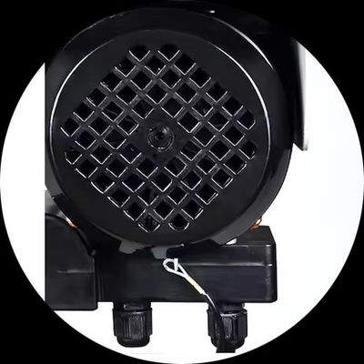 Quality Assurance Electric Wire Rope Motor Hoist Wear-Resistant Electric Hoist Crane