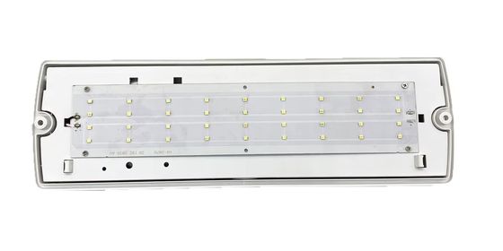 Emergency Led Lamps Manufacturer Supply Emergency Lighting Plastic Rechargeable Recessed IP65 Waterproof White Li-ion 60