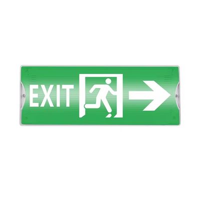 Emergency Led Lamps Manufacturer Supply Emergency Lighting Plastic Rechargeable Recessed IP65 Waterproof White Li-ion 60