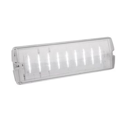 Emergency Led Lamps Manufacturer Supply Emergency Lighting Plastic Rechargeable Recessed IP65 Waterproof White Li-ion 60