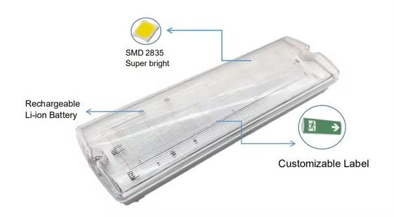 Emergency Led Lamps Manufacturer Supply Emergency Lighting Plastic Rechargeable Recessed IP65 Waterproof White Li-ion 60