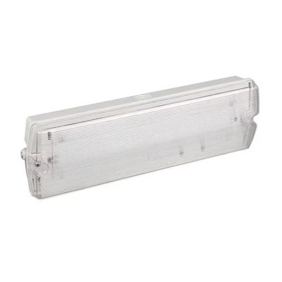Emergency Led Lamps Manufacturer Supply Emergency Lighting Plastic Rechargeable Recessed IP65 Waterproof White Li-ion 60
