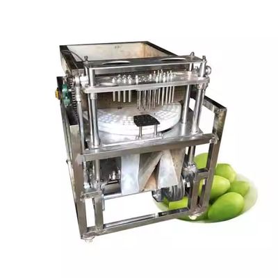 Automatic Emirates Date Pitting Machine Cherry Olive Jujube Pitter Corer Seed Remover Machine