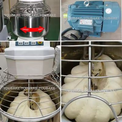 10L 20L 30L 40L 50L 60L 80L Vertical Dough Mixer With Stainless Steel Casing And Adjustable Speed Panel